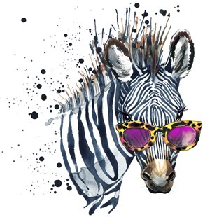 Güneş Gözlüklü Zebra - Kanvas Tablo