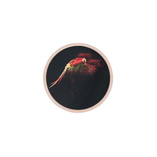 Kırmızı Papağan - Cam İşleme Tablo