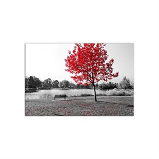 Kızıl Ağaç - Büyük Boy Kanvas TabloBüyük Boy Kanvas TablolarTablolife.com