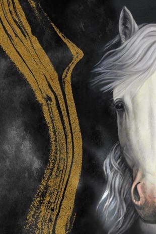 White Horse - Yağlı Boya Dokulu TabloYağlı Boya Dokulu Soyut TablolarTablolife.com